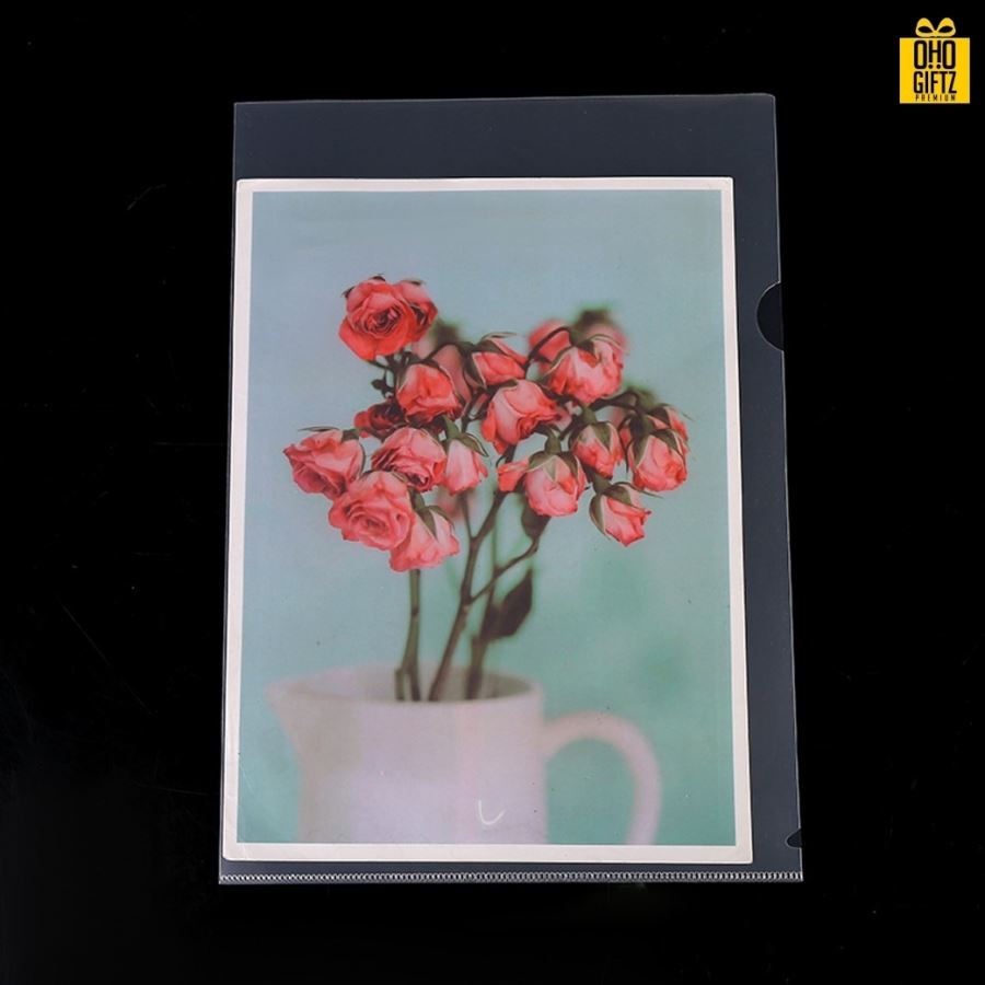 แฟ้มพลาสติกใสขุ่นใส่เอกสาร A4 สกรีนโลโก้ ทำเป็นของพรีเมี่ยม ของชำร่วยได้