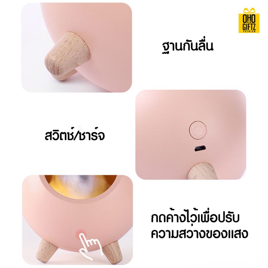 โคมไฟ little pet house สกรีนชื่อ สกรีนโลโก้ ทำเป็นของพรีเมี่ยมได้  