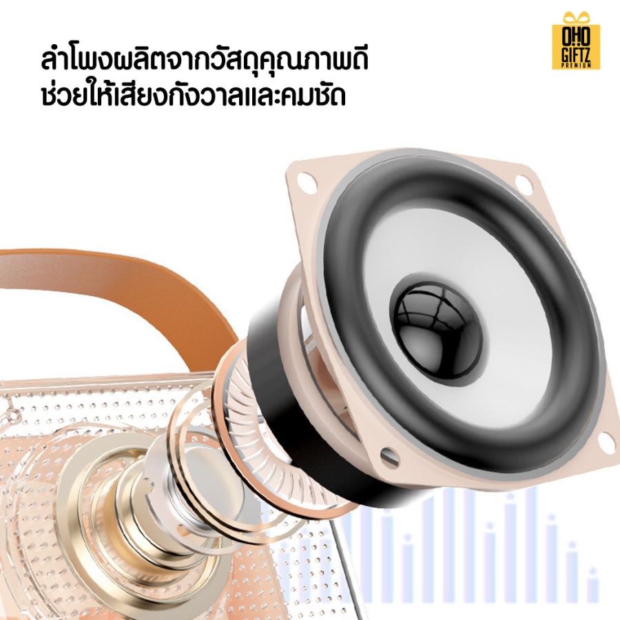 ลำโพงบลูทูธคาราโอเกะพร้อมไมค์ สกรีนโลโก้ สกรีนชื่อร้านทำเป็นของพรีเมี่ยมได้ 