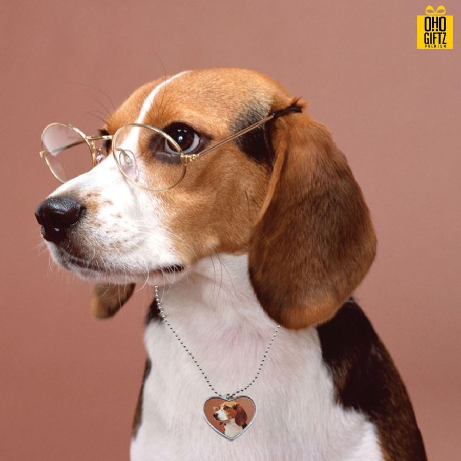 สร้อยคอสุนัข Dog tag 7style พร้อมโซ่ไข่ปลา พิมพ์ภาพได้ไม่จำกัดสี*ไม่มีขั้นต่ำ*