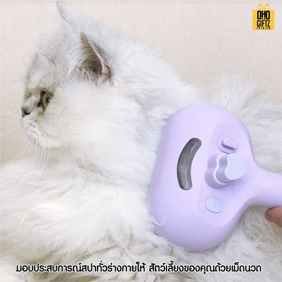 หวีแปรงขนสัตว์ พ่นละอองสเปรย์ สกรีนโลโก้ ทำเป็นของพรีเมี่ยมได้