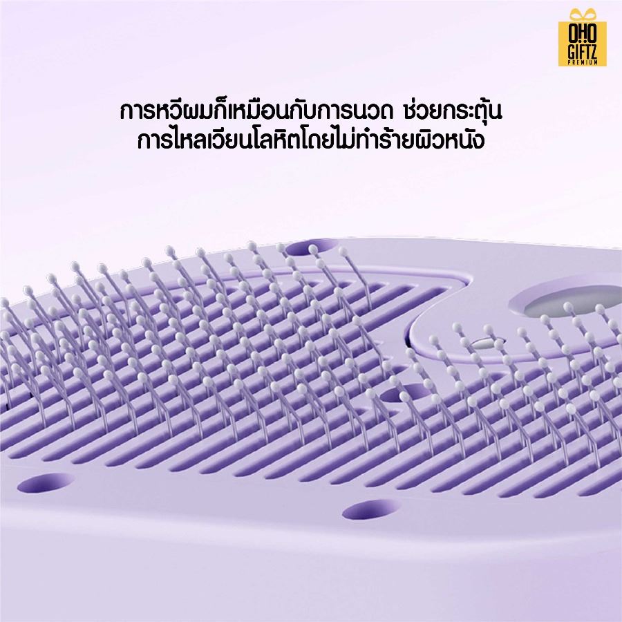 หวีแปรงขนสัตว์ พ่นละอองสเปรย์ สกรีนโลโก้ ทำเป็นของพรีเมี่ยมได้