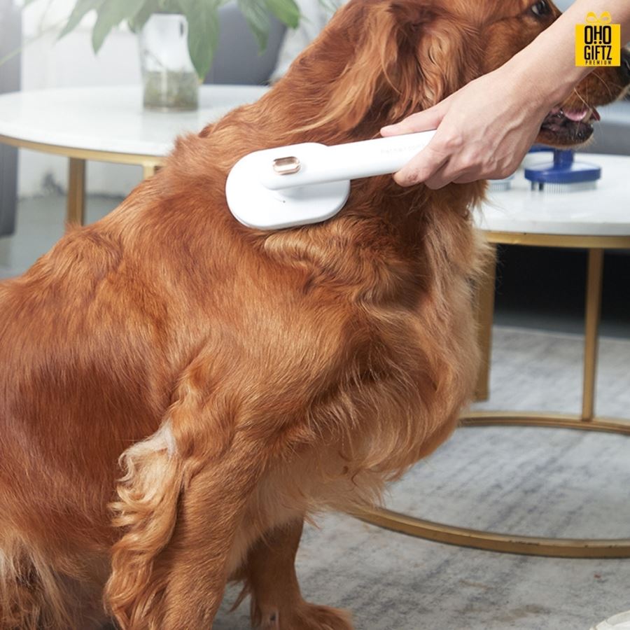 หวีแปรงขนสัตว์เลี้ยง สกรีนโลโก้ ทำเป็นของพรีเมี่ยม