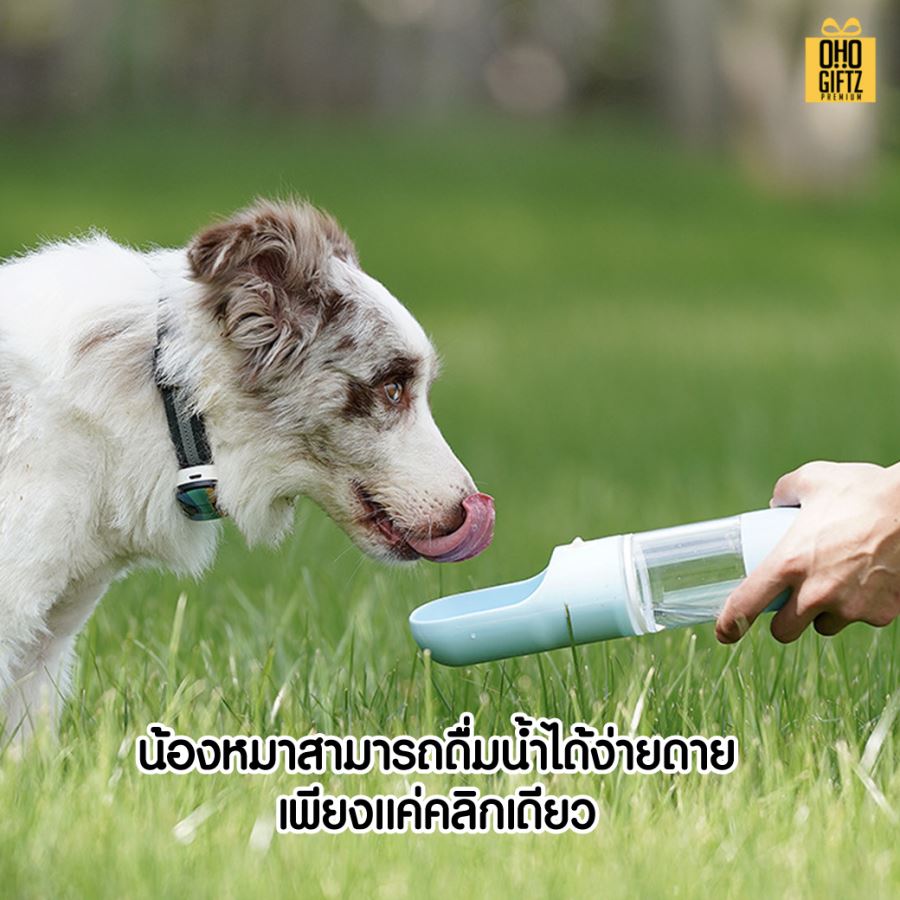 ขวดน้ำสัตว์เลี้ยงพกพา สกรีนโลโก้ สกรีนชื่อร้าน ทำเป็นของพรีเมี่ยมได้