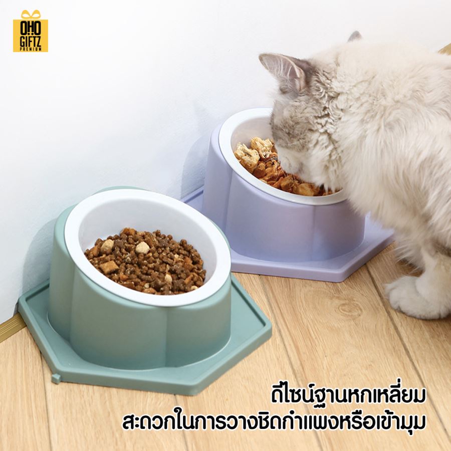 ชามอาหารสัตว์เลี้ยง สกรีนโลโก้ ทำเป็นของพรีเมี่ยม