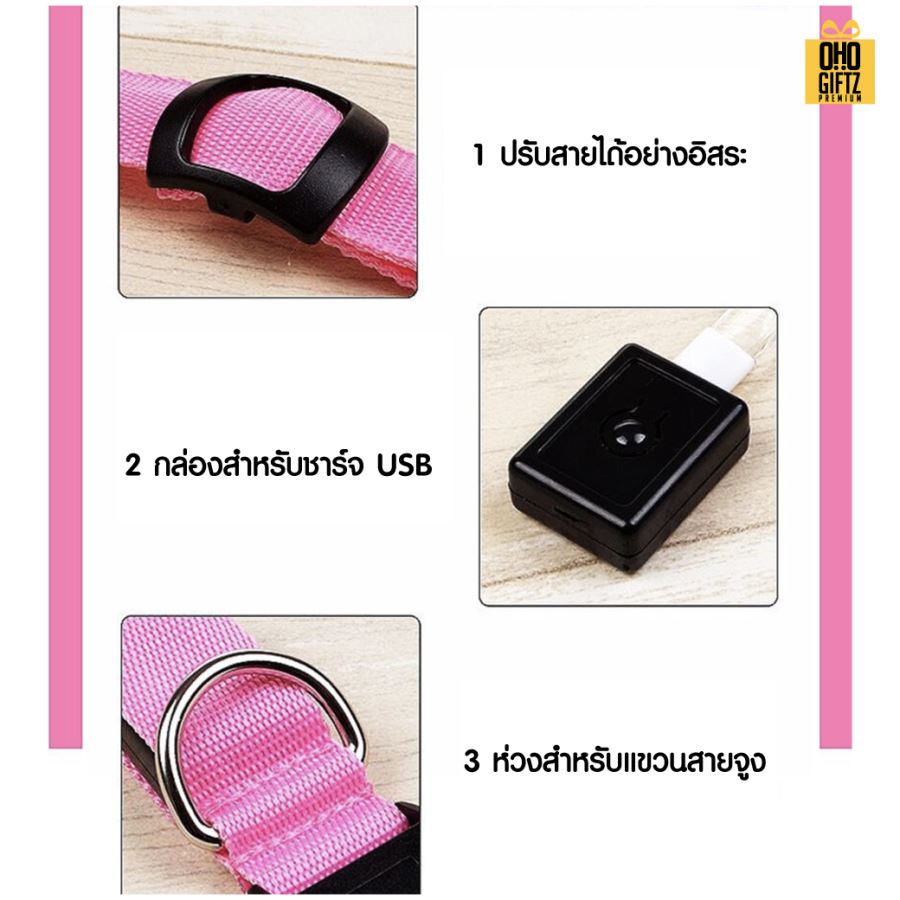 ปลอกคอสัตว์เลี้ยง LED ปลอดภัยในยามค่ำคืน สกรีนโลโก้ ทำเป็นของพรีเมี่ยม